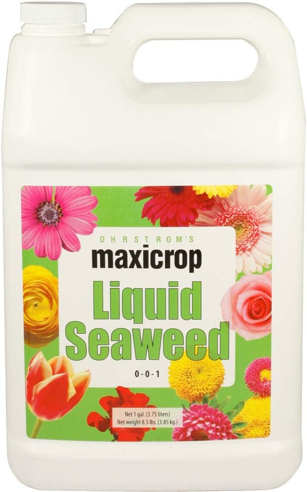 Original Liquid Seaweed Plant Nutrient Size: 1 Gallon