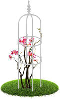 2 3 4 5 6ft Tall Garden Trellis for Climbing Plants Metal Obelisk Tower Support Outdoor Indoor for Sweet Pea Frame Rose Trellis Potted Plants Clematis Vegetables Pea Tomato Fruits(White28 x 150cm/0.