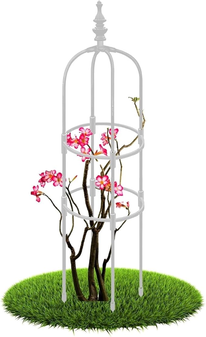 2 3 4 5 6ft Tall Garden Trellis for Climbing Plants Metal Obelisk Tower Support Outdoor Indoor for Sweet Pea Frame Rose Trellis Potted Plants Clematis Vegetables Pea Tomato Fruits(White25 x 150cm/0.