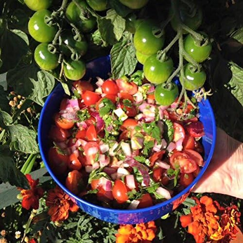 Mr. Stacky Smart Farm - Automatic Self Watering Garden - Grow Fresh Healthy Food Virtually Anywhere Year Round - Soil or Hydroponic Vertical Tower Gardening System (Standard Kit Stone)