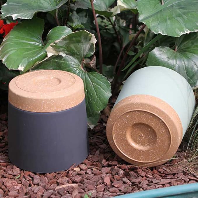 ZMTECH Spring Planters for Indoor Plants Plant Pots &amp Flower Pots Plastic Planter 3 Pack 8 Inch Self Watering with Drainage Hole and Saucer Modern Decorative Indoor Outdoor Dark Gray White Gre