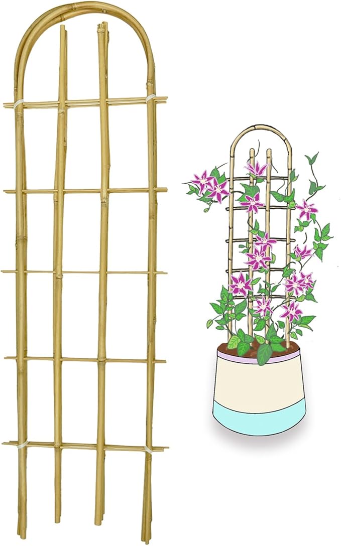 Bamboo TrellisU-Shape Bamboo Trellis3Feet3packTrellis for Climbing Plants Outdoor BambooforClimbing PlantsTomato VegetablesFlowers Beans CucumberIndoor Potted Climb Plants