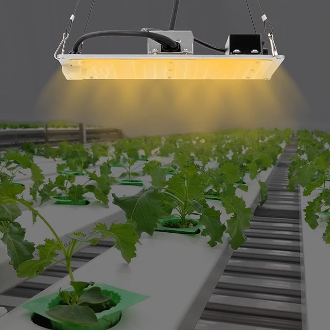 LED Grow Light Full Spectrum LM301B Diodes and Driver Dimmable &amp Daisy Chain Plant Grow Light for Indoor Plants Seedling Growing Flowering Fruiting