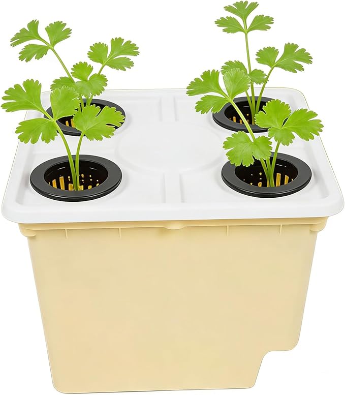 Hydroponic Vegetable Planter - Soilless Cultivation Gardening SuppliesHydroponic Growing System for Vegetables | for Indoor Outdoor Windowsill Balcony Greenhouse Tomato Cucumber Fruit