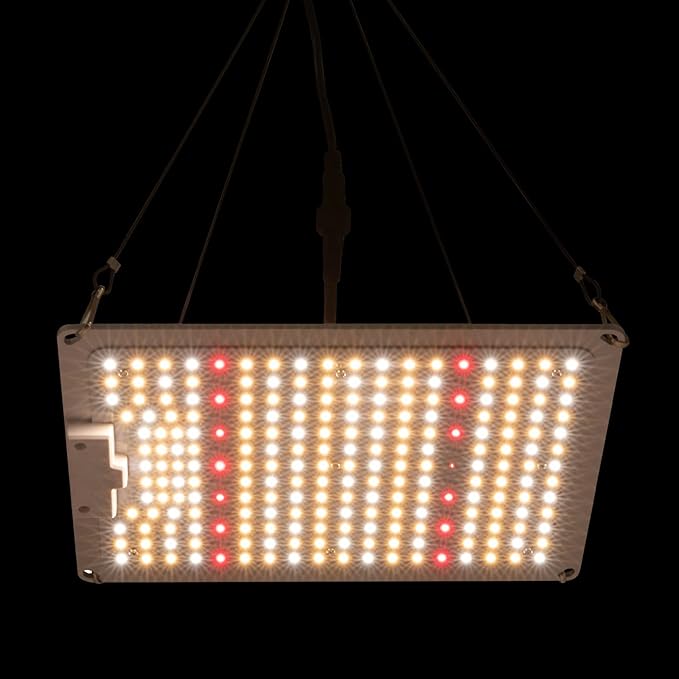 LED Grow Light Full Spectrum LM301B Diodes and Driver Dimmable &amp Daisy Chain Plant Grow Light for Indoor Plants Seedling Growing Flowering Fruiting