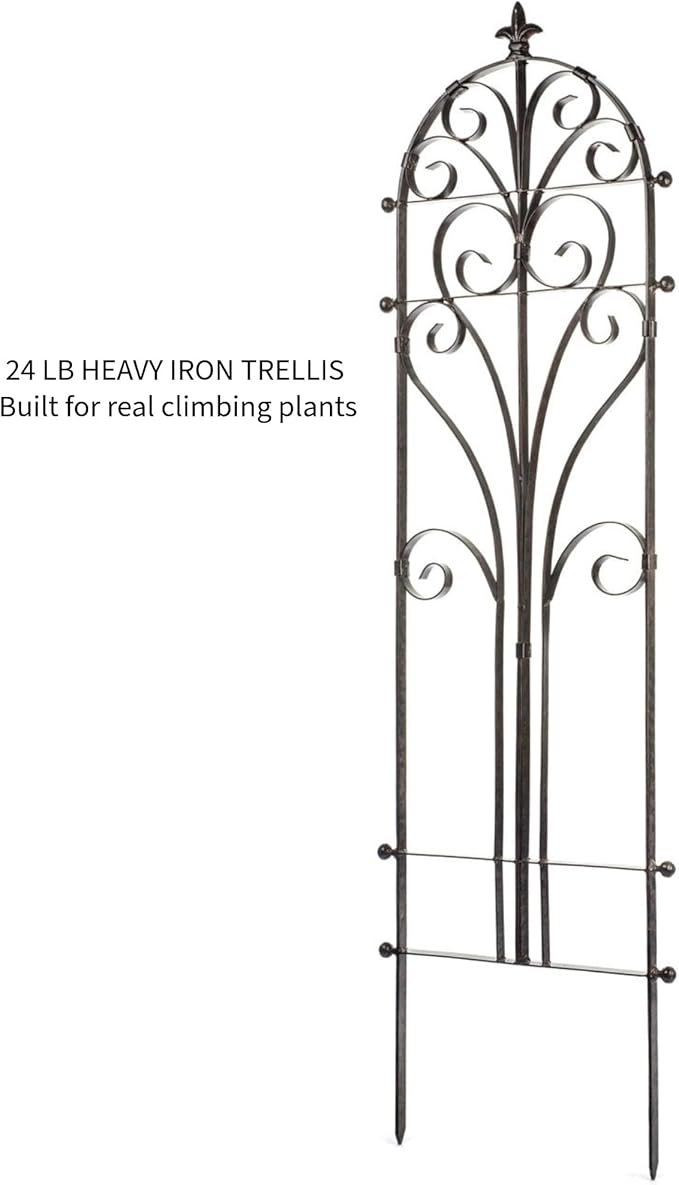 H Potter Metal Garden Trellis 58 Installed Height — 24-Lb Heavy Duty Iron Climbing Trellis for Roses Ivy &amp Clematis — 70 Overall with Ground Spikes