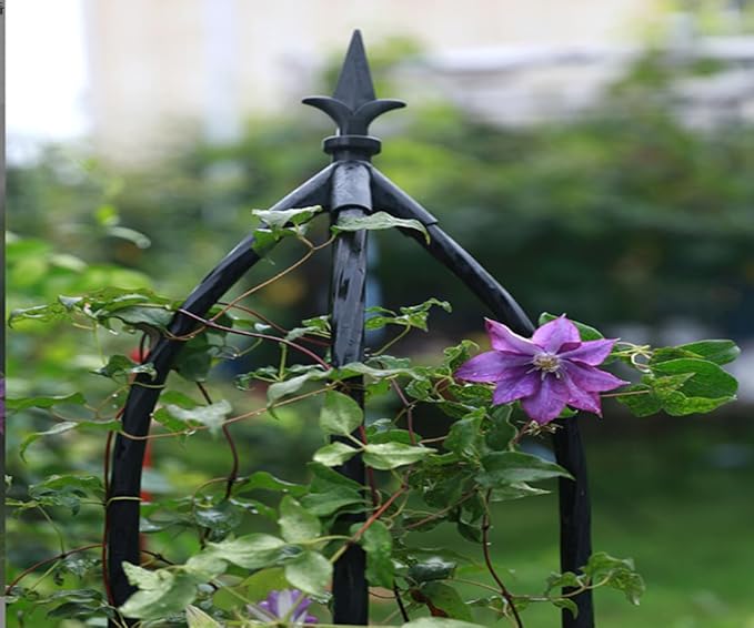 Garden Trellis for Climbing Plants Outdoor 6.2 Ft Rose Trellis for Pots Metal Plant Flower Trellises for Vine Support Outdoor Indoor (Black 6.2ft)rellis for Climbing Plants Outdoor Black