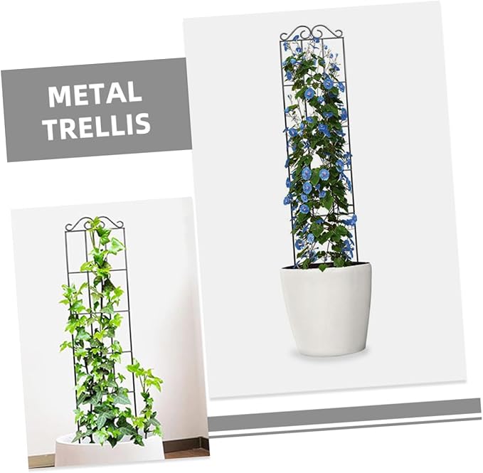 Beaupretty 4pcs Metal Climbing Vine Frame Garden Trellis Plant Support Rack 50x15cm Black for Indoor Outdoor Potted Plants and Vines