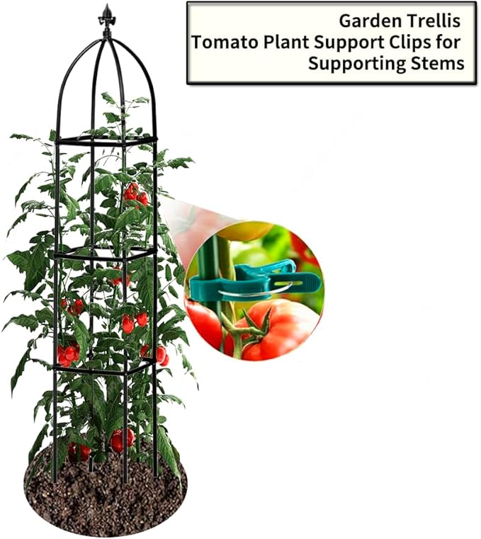Garden Trellis for Climbing Plants Outdoor - Powder-Coated Steel 63 Metal Trellis Towering Plant Support - Heavy Duty Obelisk Trellis for Climbing Vine Vegetables &amp FlowersDeep Green