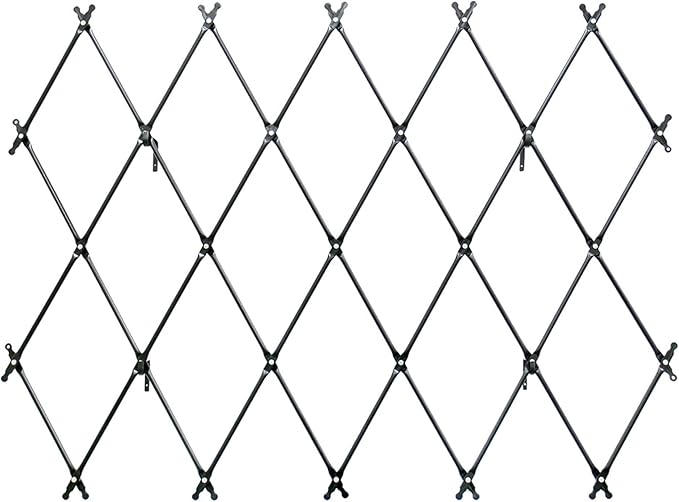 Wall Mounted Lattice Trellis