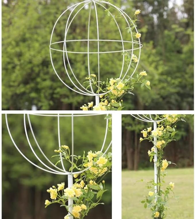 Lollipop Shape Climbing Plants Obelisk Garden TrellisesMetal Outdoor Indoor Plant Support for Climbing Vines and FlowersUpgraded Thickened Material Sturdy and Durable ( Color : Green  Size : 50cm