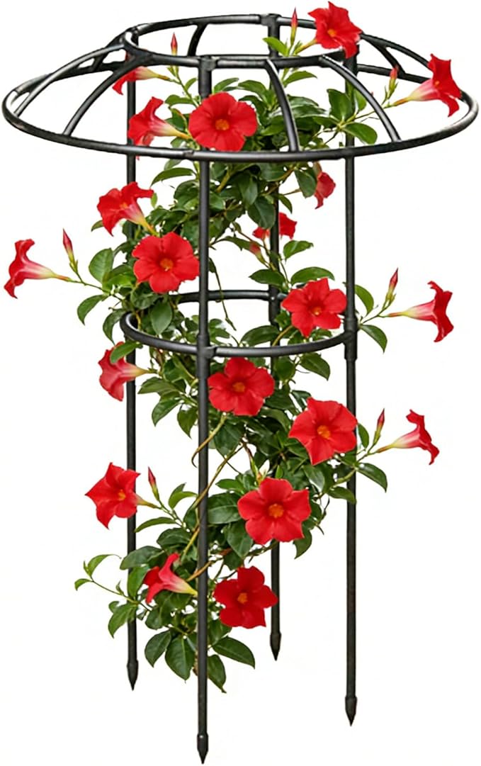 Umbrella Trellis | Decorative Vertical Rustproof Stable Climbing Plants Support | Outdoor Flower Support Cagefor Vine Rose Clematis Vegetable Dragon Fruit Cucumber Hydrangeas Jasmine