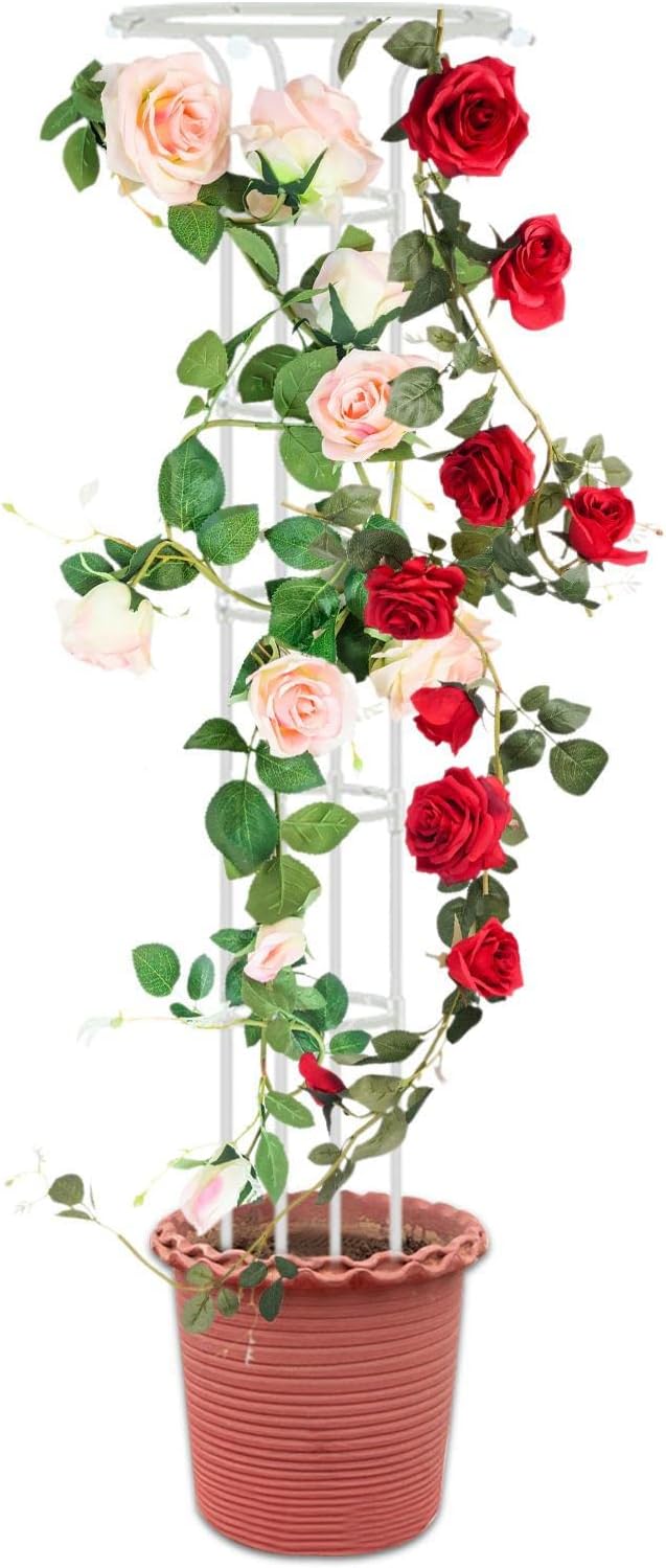 Indoor Plant Trellis - Single Umbrella-Shaped Indoor Trellis - 72.8in Garden Trellis for Climbing Plants Plant Trellis Flower Support Climbing Trellis Support Stake for Garden