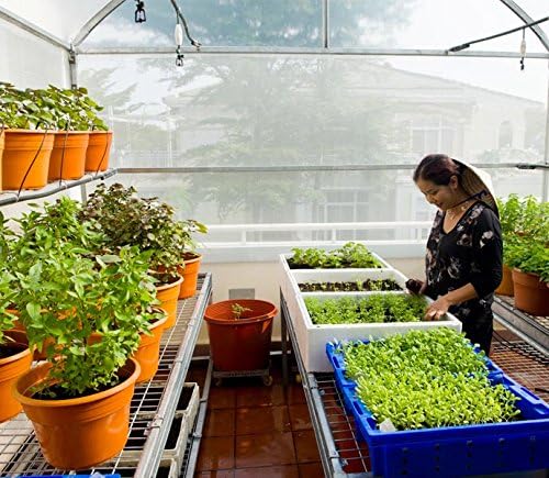 GT4 6 Mil Uv Treated Standard Clear Greenhouse Film 24' Wide X 75' Long