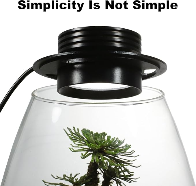 Glass Terrarium Plant Growing Lamp for Vases Up to 4 Inches in Diameter Light with Timer Auto On/Off Indoor Plant Growth Succulent Miniature Gardening Landscape (5W 4IN)