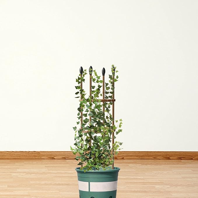 Trellis Climbing Plants 1 PC Thick Plastic-Coated Steel Plant Support Multifunctional Anti-Rust Outdoor Trellis Garden Flower Screen Cucumber Ivy Rose Grape Pea B Lackberry Vine W15*H60CM