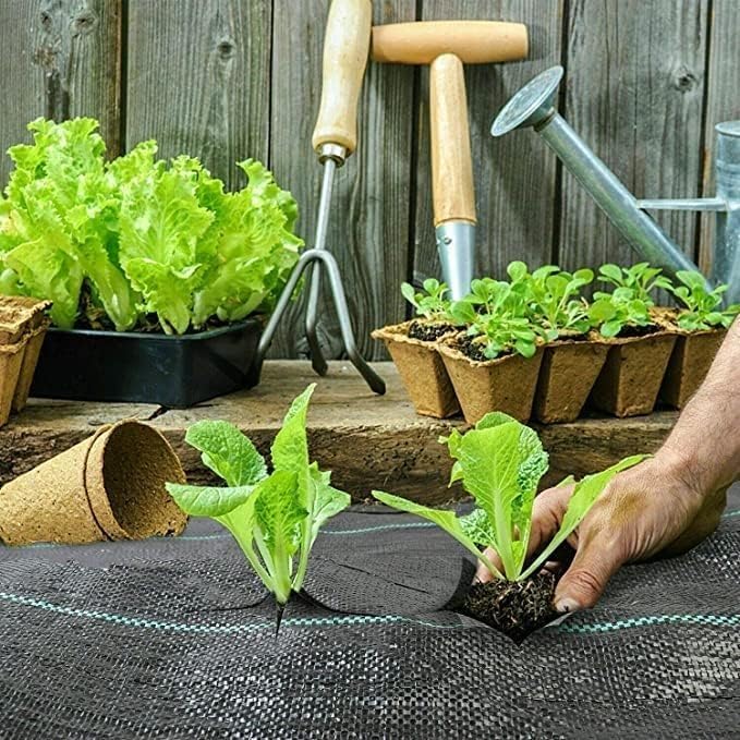 Premium Weed Barrier Landscape Fabric - 60cm Wide Ground Cover for Garden Vegetable Beds and Landscaping(0.6mx260m)