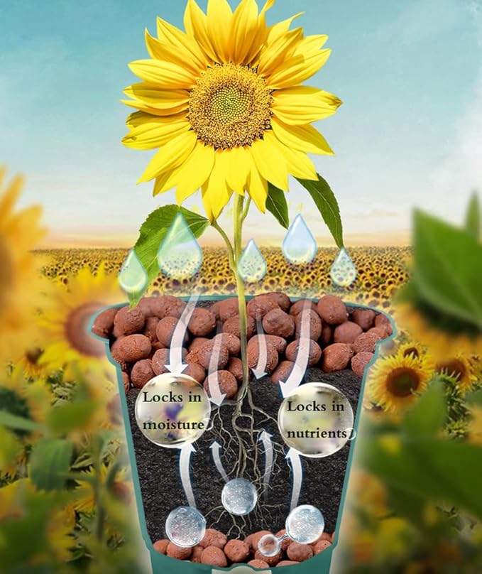 Voulosimi Clay Pebbles Hydroponic Rocks Organic Ceramsite Grow Media for HorticulturalOrchidsDrainage (18LB)