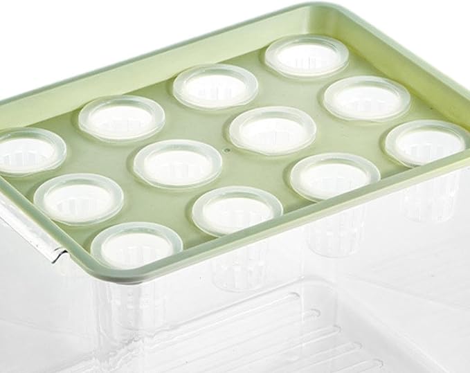 Hydroponic System Growing Kit Microgreens Growing Kit Garden Cabinet Box Easy to Use Indoor Hydroponics Tool for Vegetables Green Lid