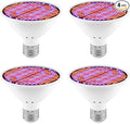 4PCS 30W Indoor Flower Planting Lamping UV/IR Full Spectrum Natural Red Blue Hydroponic Bulbs AC100-277V Hydroponic Potted Moss Fill Bulb 110v Greenhouse Tent Vegetable Flowers Succulent E27/E26