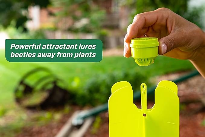 Japanese Beetle Trap