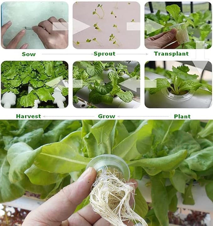 INTBUYING PVC Hydroponics Growing System 54 Sites 6 Pipes Grow Kit for Leafy Vegetables 1 Layers Hydroponic Kit with 110V Pump Hose Basket Planting Sponges
