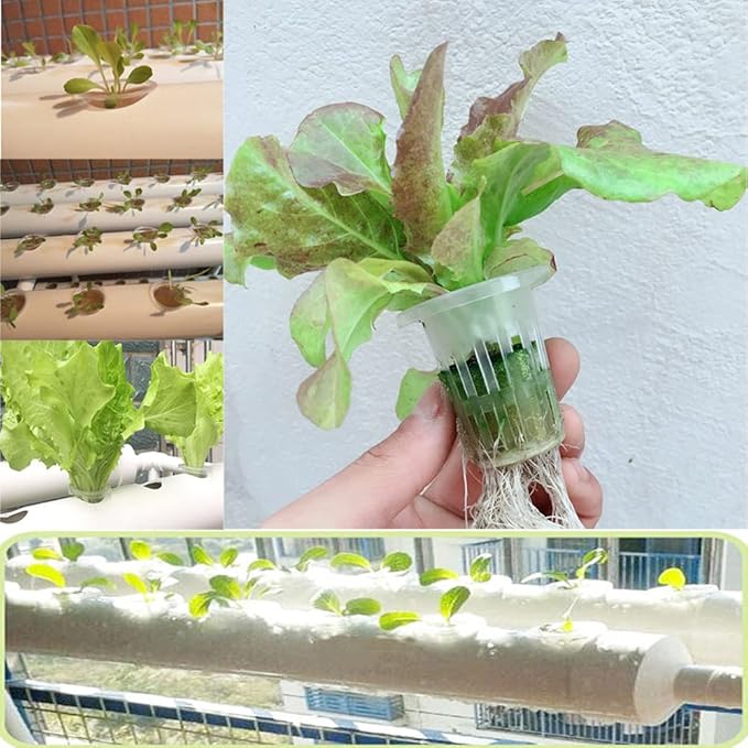 INTBUYING PVC Hydroponics Growing System 54 Sites 6 Pipes Grow Kit for Leafy Vegetables 1 Layers Hydroponic Kit with 110V Pump Hose Basket Planting Sponges
