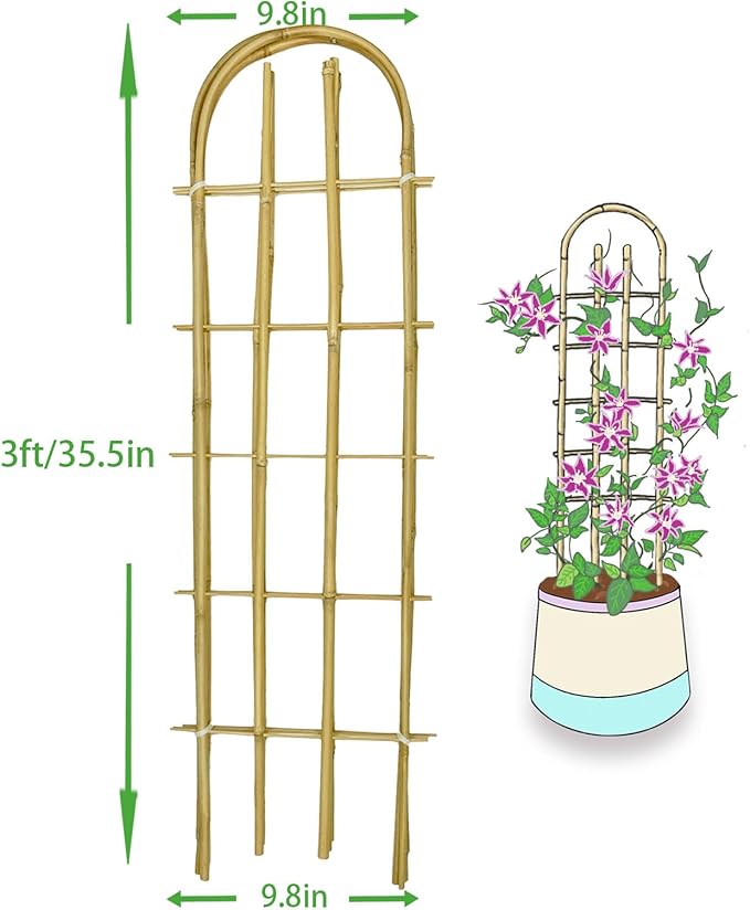 Bamboo TrellisU-Shape Bamboo Trellis3Feet3packTrellis for Climbing Plants Outdoor BambooforClimbing PlantsTomato VegetablesFlowers Beans CucumberIndoor Potted Climb Plants