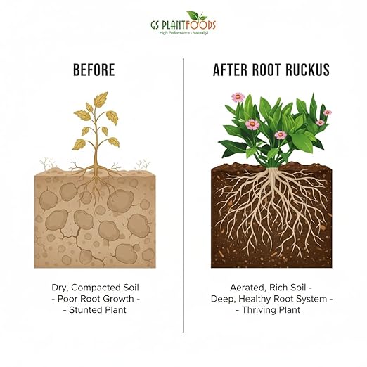 GS Plant Foods Root Ruckus – Dry Soil Zone Conditioner – Humic-Rich Granules with Kelp Components to Support Soil Structure &amp Nutrient Availability (11 oz)