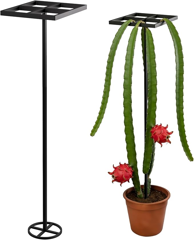 1 Pcs Dragon Fruit Trellis for Climbing Plants Adjustable Metal Plant Trellis Outdoor &amp Indoor Garden Trellis for Potted Plants Vertical Support for Dragon Fruit Cactus - Easy Assembly (1 Pack