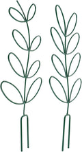 Garden Planting Rack and Climbing Plant Trellis for Potted Plants 2pcs Green Iron Tomato Support Cages for Outdoor and Indoor Gardening