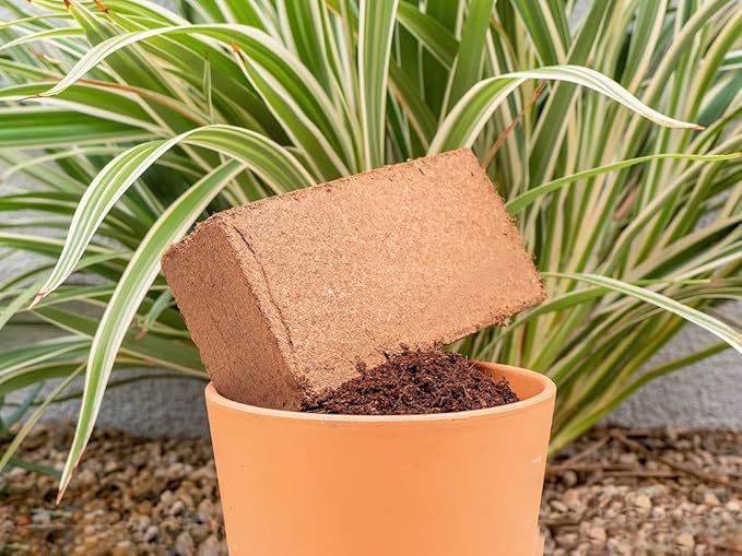 Coco Coir for Plants 2-Pack – 2.4 Gallons Compressed Coconut Coir Bricks 1.5 lb. Low EC pH Balanced Coco Peat for Indoor &amp Outdoor Gardening Potting Soil Indoor Plant Soil