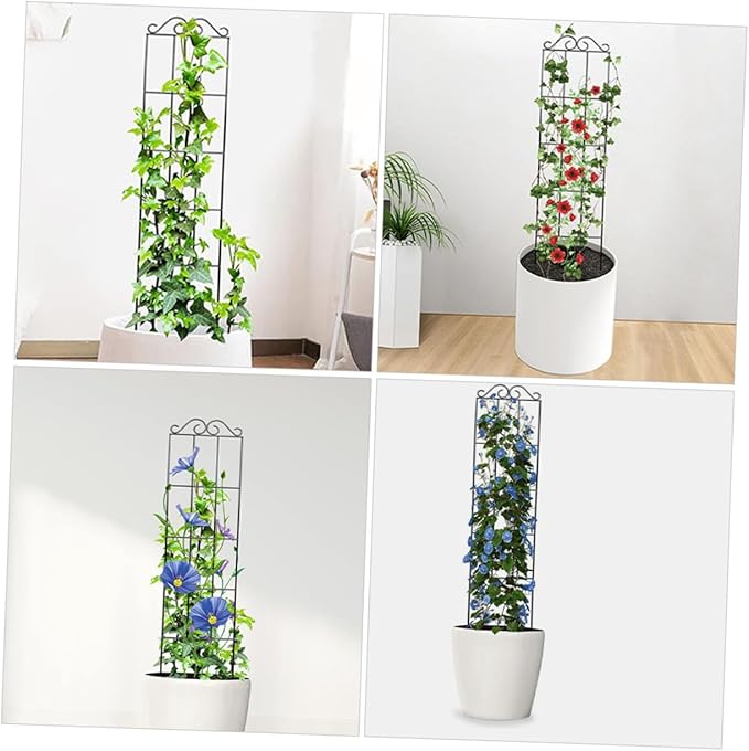 4pcs Metal Garden Trellis Climbing Vine Frame Plant Support for Potted Flowers and Indoor Outdoor Garden 50x15cm Black Climbing Vine Fixer for Plant Cuttings