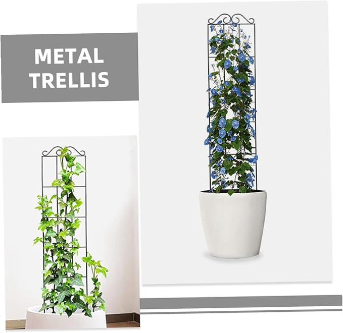 Alasum 4pcs Plant Climbing Support Trellis Frame Metal Garden Vines Rack for Potted Plants Indoor Outdoor Decorative Climbing Flower Rack 50x15cm Black