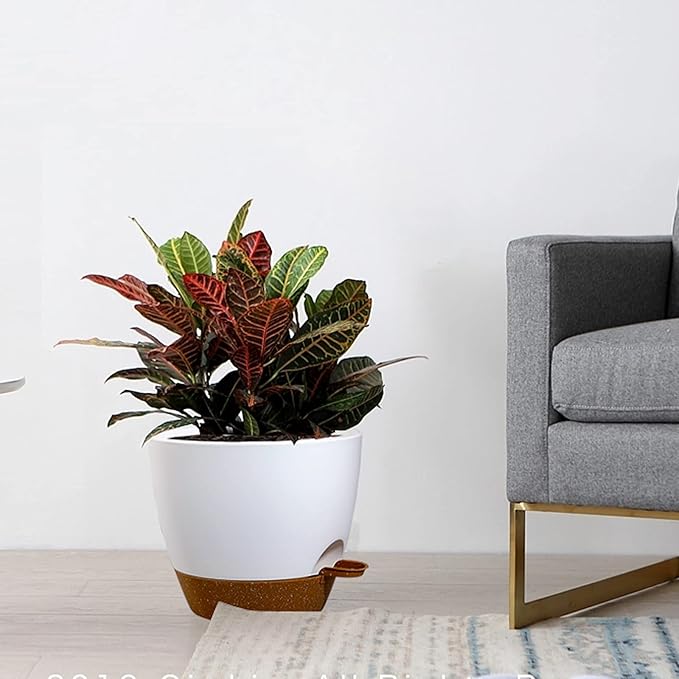 Large Self Watering Pots 12/10/9 Plastic Planters with High Drainage Holes and Deep Reservoir for Indoor Outdoor Garden Plants and Flowers White with Brown