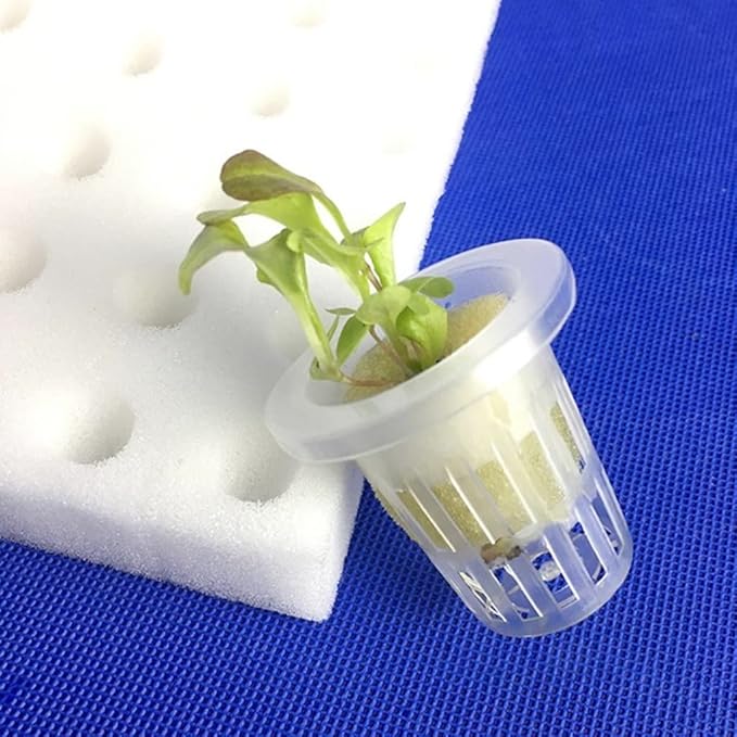 100Pcs Soilless Hydroponic Sponge Growing Media Cubes Planting for Gardening Tool Square Seedling Foam Nursery Pot
