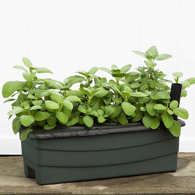 EarthBox 80601.01 Junior Garden Kit Standard Green