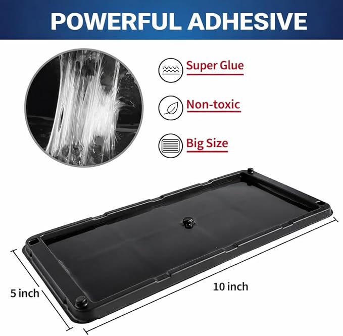 Glue Traps Indoor for Home 12 Pack Bulk Glue Traps for Rats Mice Snakes and Lizards Non-Toxic Adhesive Plastic Trays Insect &amp Spider Pet Safe Pest Control