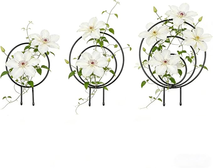 Trellis for Climbing Plants Outdoor - Metal Support Frame Art Decoration | Plant Trellis Outdoor - for Family Beginner Home Gardening Pairing Indoor House Wedding Vegetable