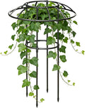 Garden Trellis for Climbing Plants | Vertical Rustproof Stable Vine Supports | Support Cage Umbrella Trellisfor Vine Rose Clematis Vegetable Dragon Fruit Cucumber Hydrangeas Jasmine