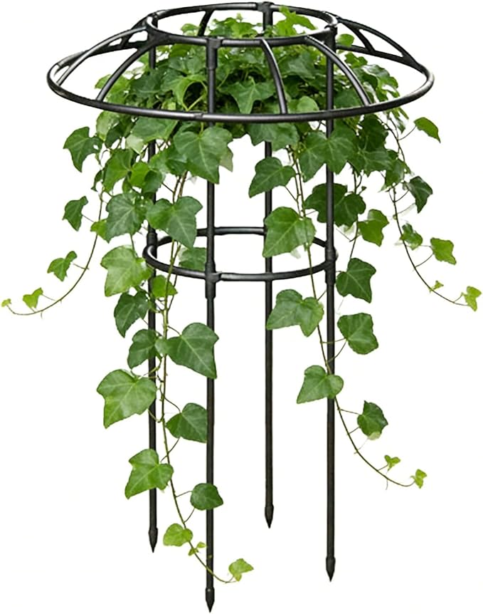 Garden Trellis for Climbing Plants | Vertical Rustproof Stable Vine Supports | Support Cage Umbrella Trellisfor Vine Rose Clematis Vegetable Dragon Fruit Cucumber Hydrangeas Jasmine