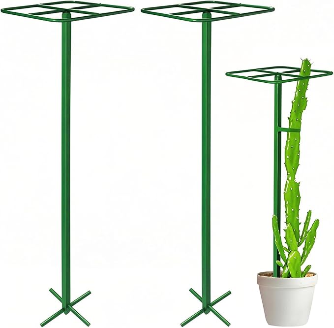 2 Pack Adjustable Dragon Fruit Trellis 12x12x50 Dragon Fruit Trellis Metal Climbing Plant Support Frame Cactus Tower Plant Cage for Vertical Gardening Vegetable Garden Outdoor Green