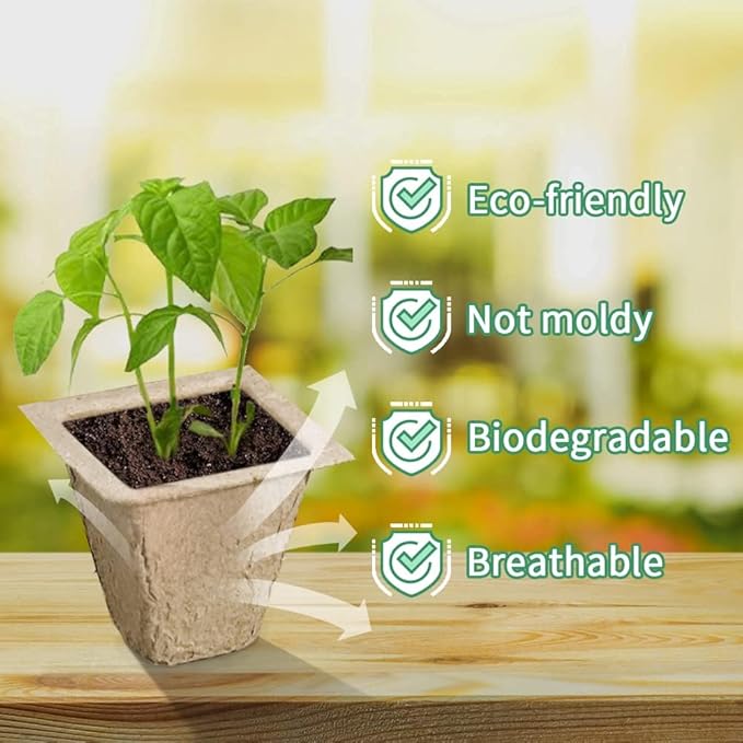 SYITCUN 240 Cells Seed Starter Tray 20 Pack Seed Starter Kit for Planting Seeds Biodegradable Peat Pots Value Germination Kit with 200 Plant Labels 2 Transplanting Tools 1 Spray Bottle