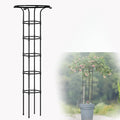 Garden Obelisk Heighten Metal Garden Trellis Potted Plant Climbing Support for Indoor Outdoor Flowers Vine TomatoesBlack180 cm