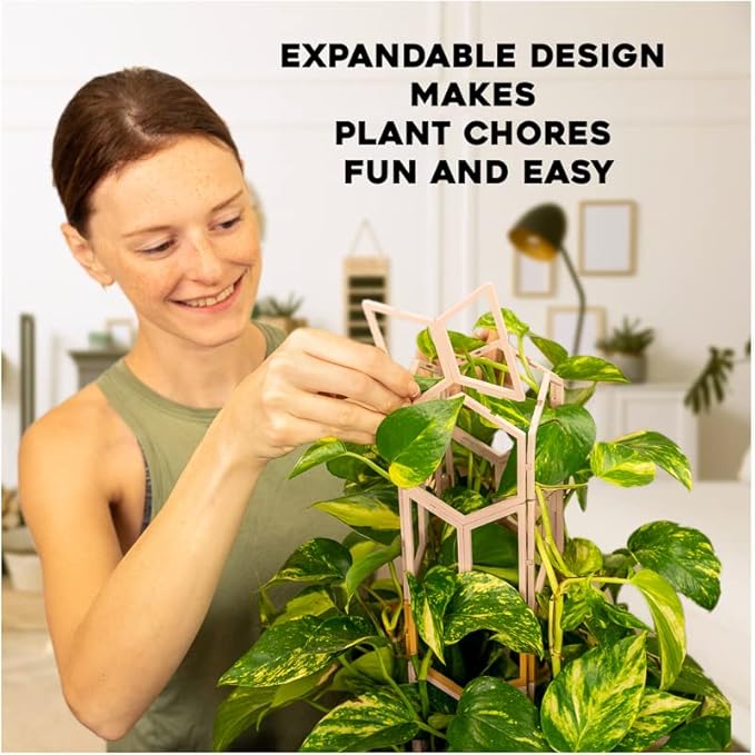 Hexagon Trellis for Climbing Plants Outdoor - Stackable 14 Tall Trellis for Indoor Potted Plants - Starter Pack 2.0 Modular System Houseplant Trellis - 50pcs Starter Set (Green Tea)