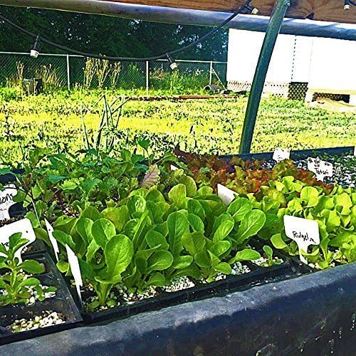 AIFUSI 10 Pack Seed Starter Kit 72 Cell Seedling Trays Gardening Germination Plastic Tray Nursery Pots Mini Propagator Plant Grow Kit Plug Tray Starting Trays for Seedling Germination
