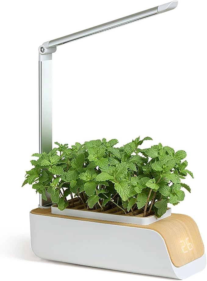 Hydroponics Growing System LED Grow Lights with Adjustable Height Indoor Smart Garden Kit with Temperature Display No Seasonal Restrictions Smart Plant Pot for Small Plant Growth