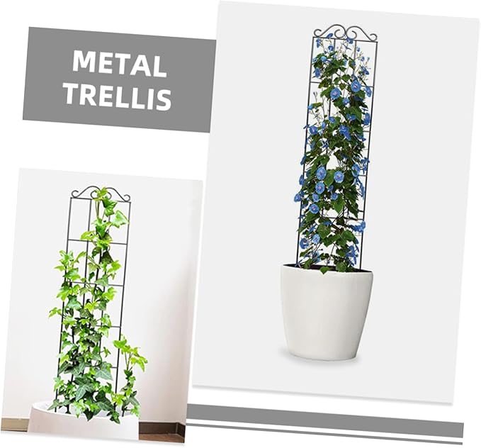 Yardwe 4pcs Metal Garden Trellis Plant Climbing Rack for Vines Support for Potted Plants for Indoor Multifunctional Design for Healthy Growth