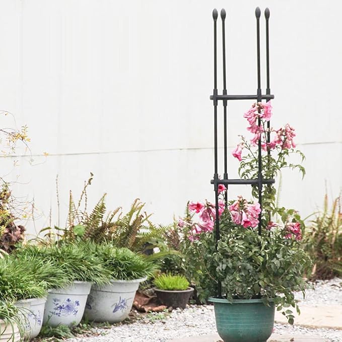 Garden TrellisStainless Steel Trellis for Climbing PlantsDiameter: 25cm/9.8in30cm/11.8in 35cm/13.8inAdjustable Rings Perfect for Tomatoes Vines and More1-Pack (Size : 13.8/35cm Dia. x49/12