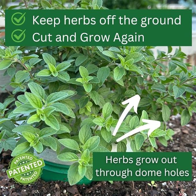 4 Herb Garden Kit with Grow Rings and Greenhouse Germination Domes – Certified Organic Herb Planter Kit – Gardening Gift for Mom Teachers Women and Men – Made in USA
